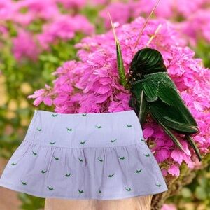 Lilly Pulitzer grasshopper pink and green Mini Skirt size 14
